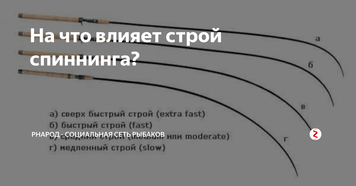 Как выбрать спиннинг: разновидности, параметры и лучшие модели