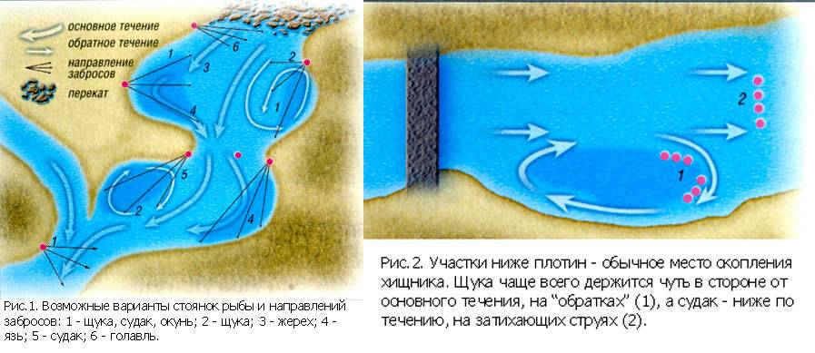 Где ловить щуку:  о поиске мест обитания зубастой хищницы