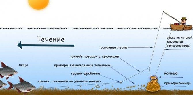 Осенний фидер