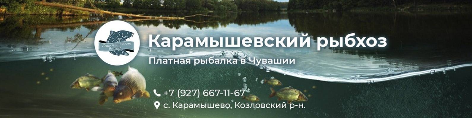 Платная рыбалка в Брянске и Брянской области 2019