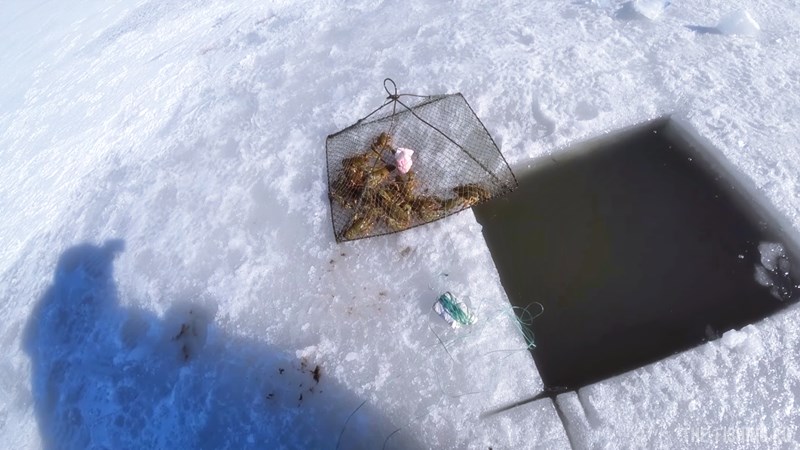 Изготовление снастей для ловли раков зимой своими руками