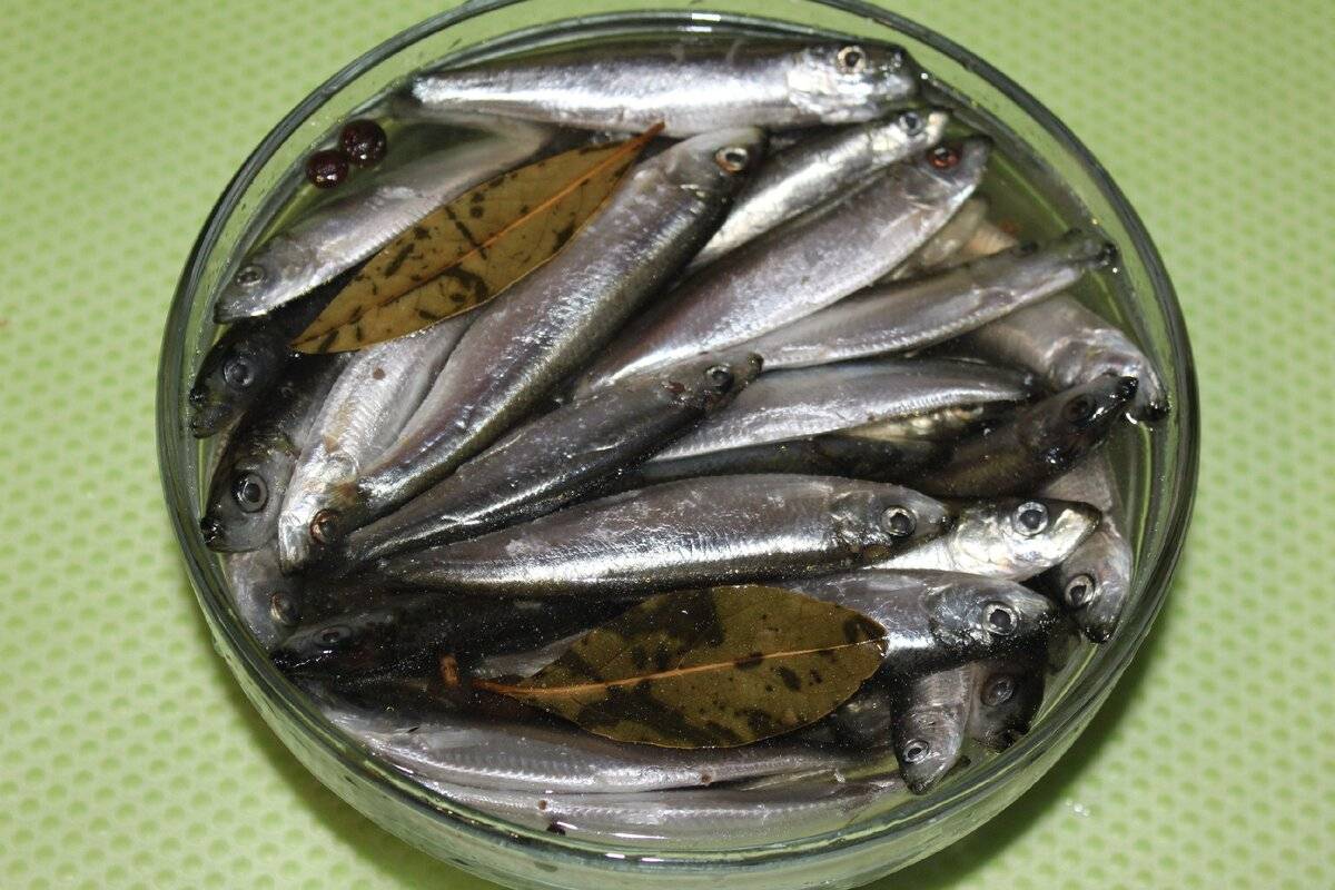 Как солят рыбу на крайнем севере: простой и вкусный рецепт