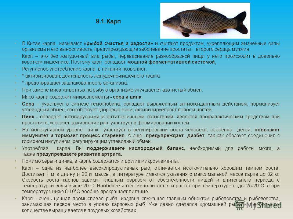 Время, когда нерестится карп для ловли