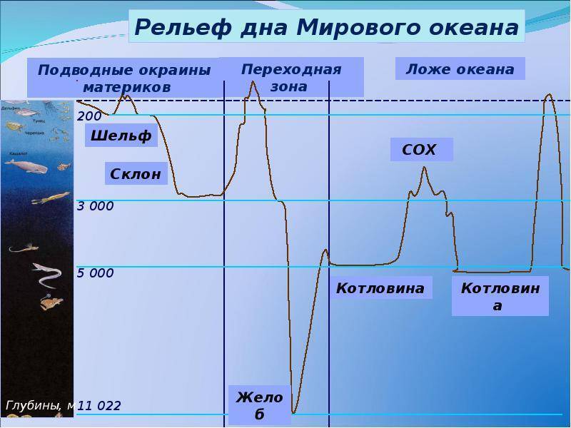 Легкий промер глубины в фидерной рыбалке, простое решение