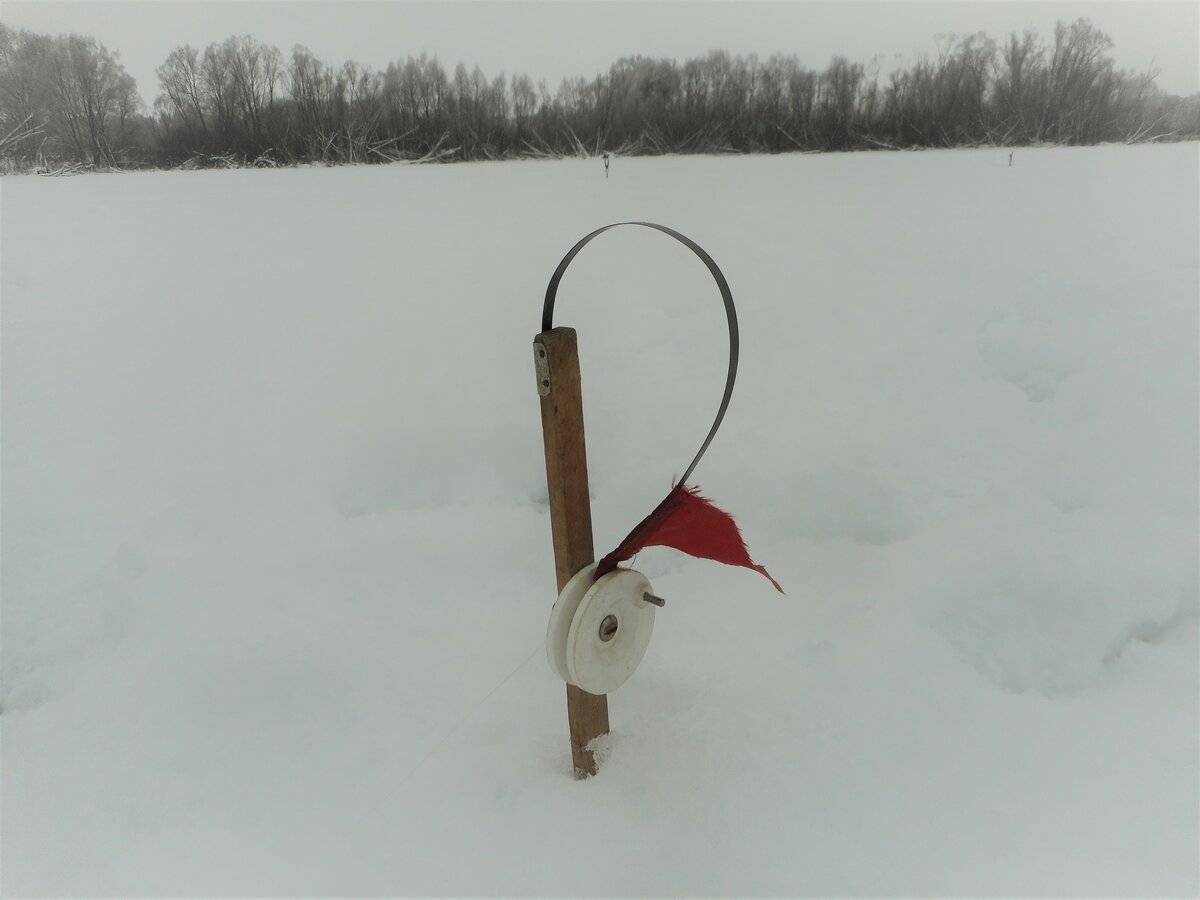Ловля форели зимой: правильный выбор снастей и места