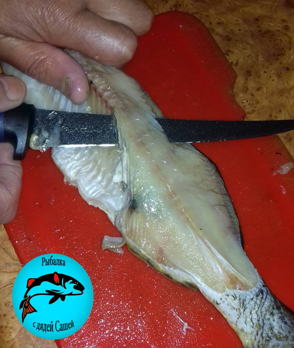 Как быстро почистить щуку от чешуи и костей: полезные советы и способы очистки рыбы