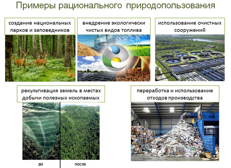 Краснодарское водохранилище экологические проблемы - экология и защита окружающей среды