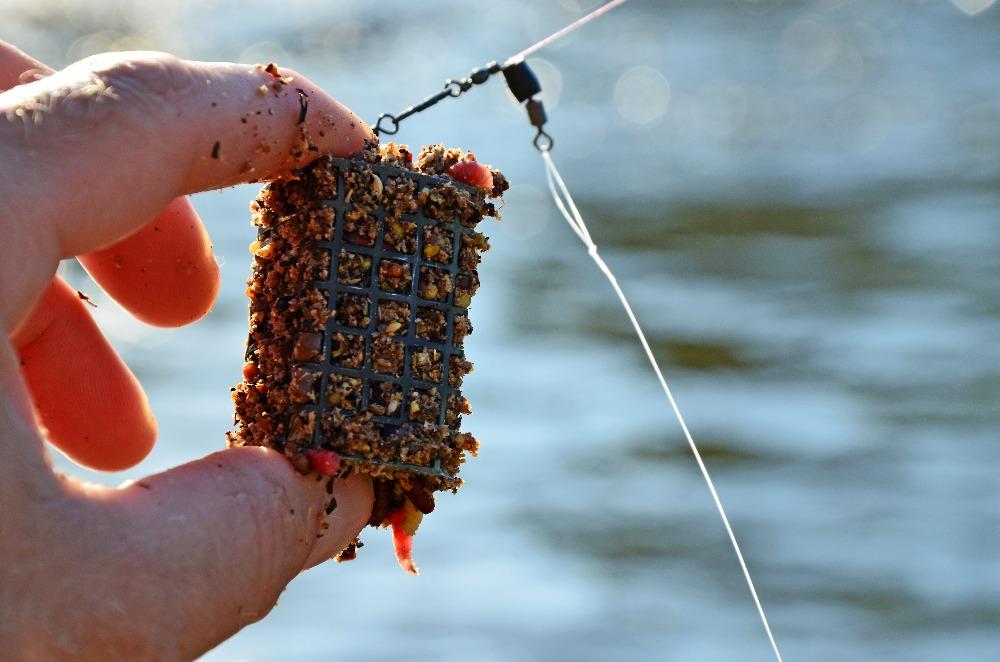 Рыбалка карася на фидер весной, летом и осенью: как сделать оснастку?