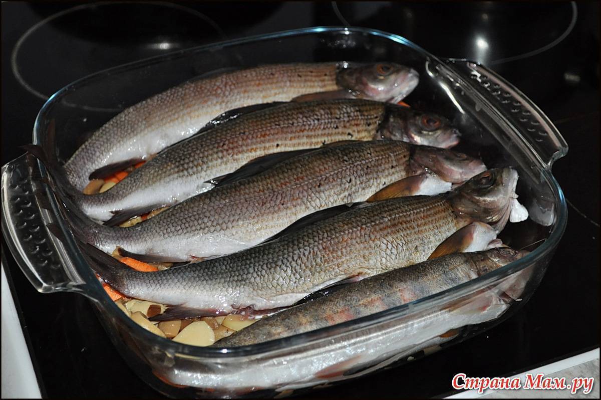 Рыба, запеченная в соли – кулинарный рецепт
