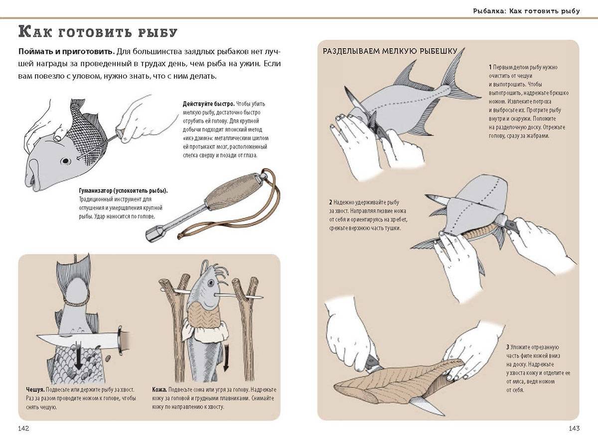 Как готовить на что ловить рыбу