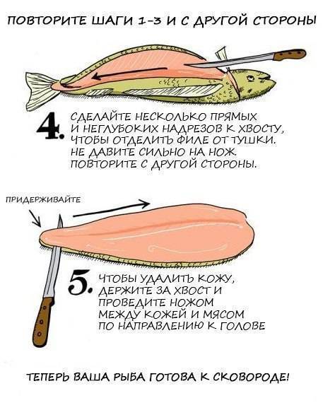 Как правильно потрошить рыбу чтобы не повредить желчный пузырь