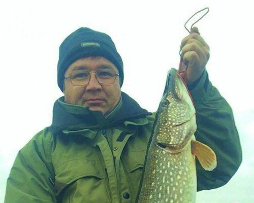 11 редких рыб водоемов чувашии, ловля которых приведет к штрафу до 200 тысяч рублей | новости чувашии