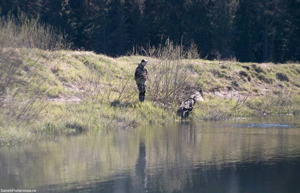 Рыбалка в тверской области — как рыбачить на волге, медведице, озере щучье в твери