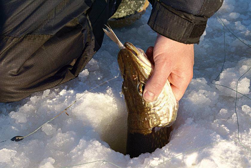 Зимняя рыбалка - снасти, способы ловли, отчёты
