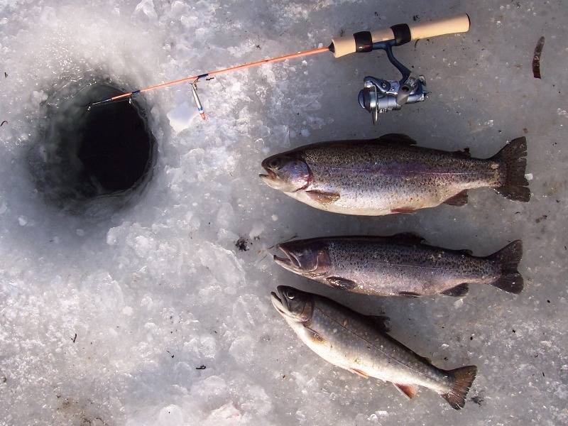 Мунха. зимняя рыбалка в якутии!!! (ловля карася зимой.)