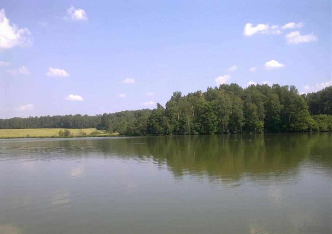 Рыбалка на озере плещеево: как ловить летом с берега, какая рыба водится