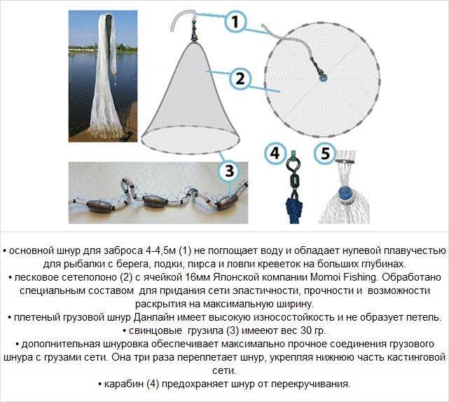 Рейтинг лучших кастинговых сетей в 2020 году