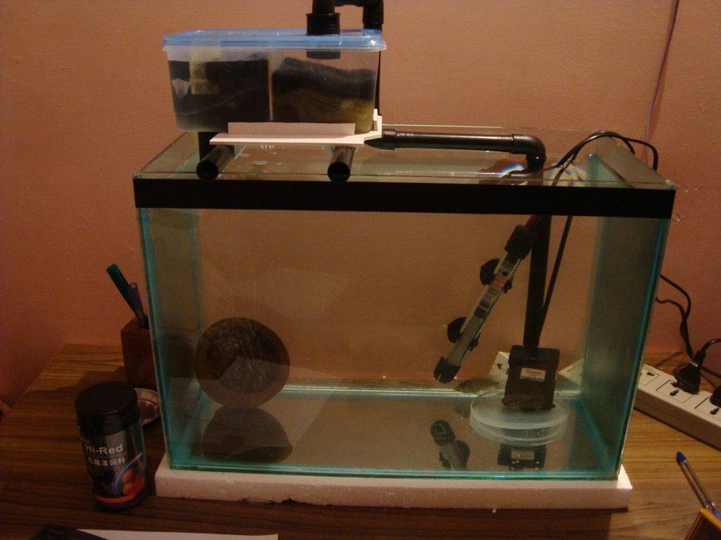 Компрессор для аквариума своими руками из подручных средств: как сделать водушный аэратор, распылитель, материалы, инструкция, принцип работы