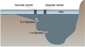 Бровка слова. Свал бровка яма. Бровка на реке. Бровка русла реки. Бровка в водоеме что это.