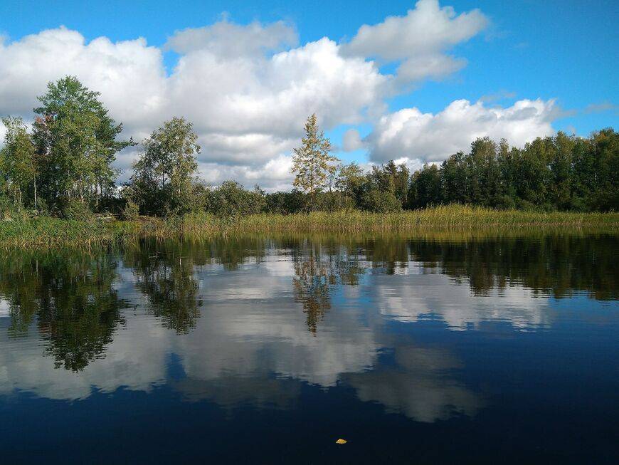 Нахимовское озеро, ленинградская область: рыбалка, базы, отдых, карта, фото, отзывы, отели рядом — туристер.ру