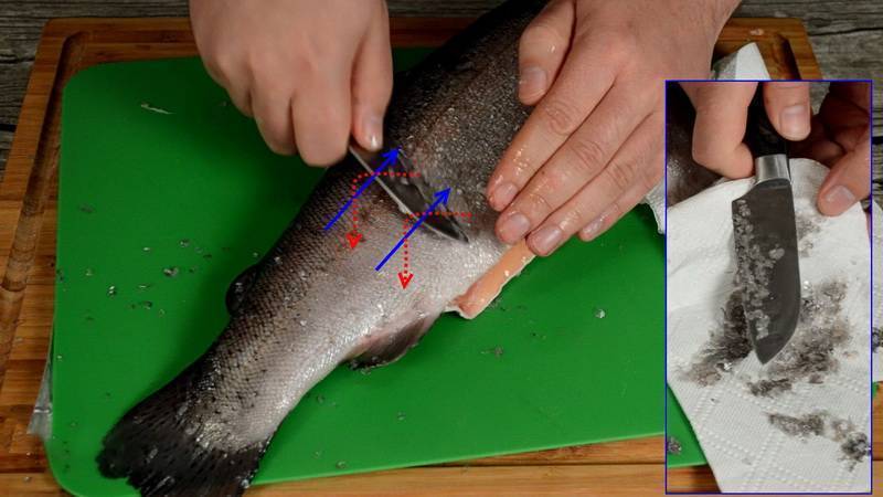 Как почистить рыбу горбушу. как правильно разделать горбушу: почистить от чешуи и снять кожу