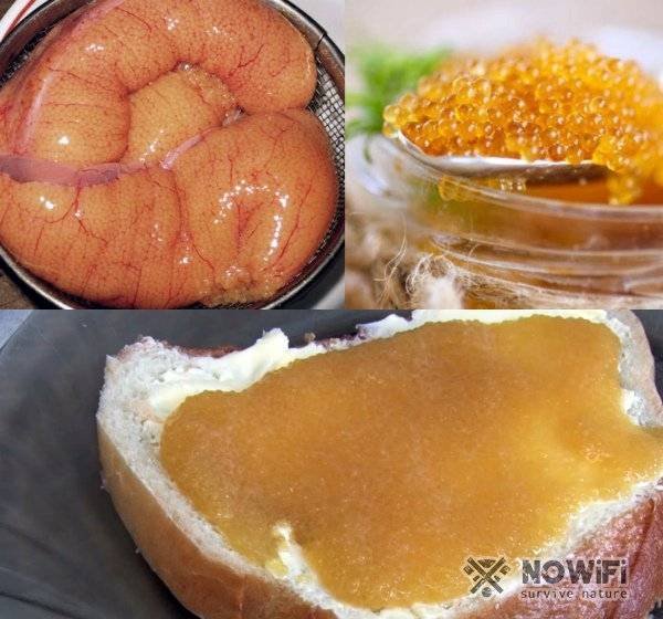 Какой вкус у свежей соленой икры щуки. икра щучья: как ее засолить в домашних условиях