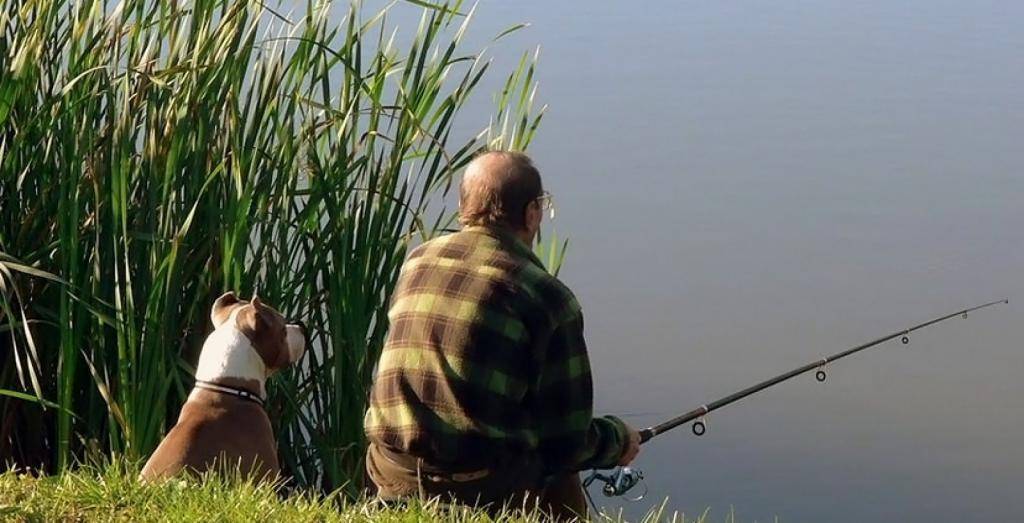 Техника ловли маховой удочкой на озерах и водохранилищах – рыбалке.нет