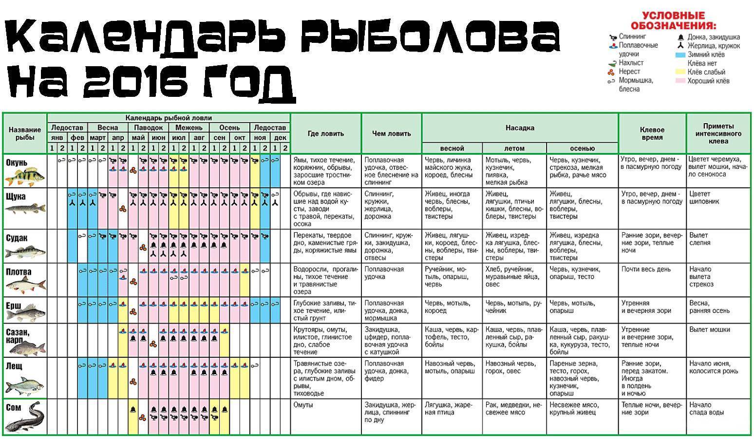 Календарь ловли щуки или когда клев особенно хорош