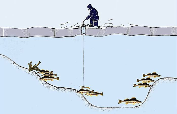 Зимний спиннинг: ловля на больших и малых реках, рыбалка на каналах грэс
