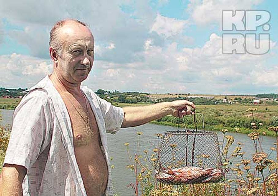 Рыбалка на бесплатных прудах в воронежской области – суперулов – интернет-портал о рыбалке