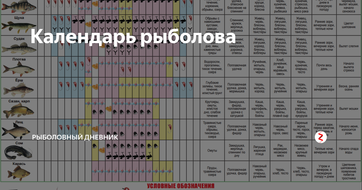 Нерест щуки в подмосковье. Рыболовный календарь. Таблица рыболова. Календарь рыбалки. Календарь ловли рыбы.