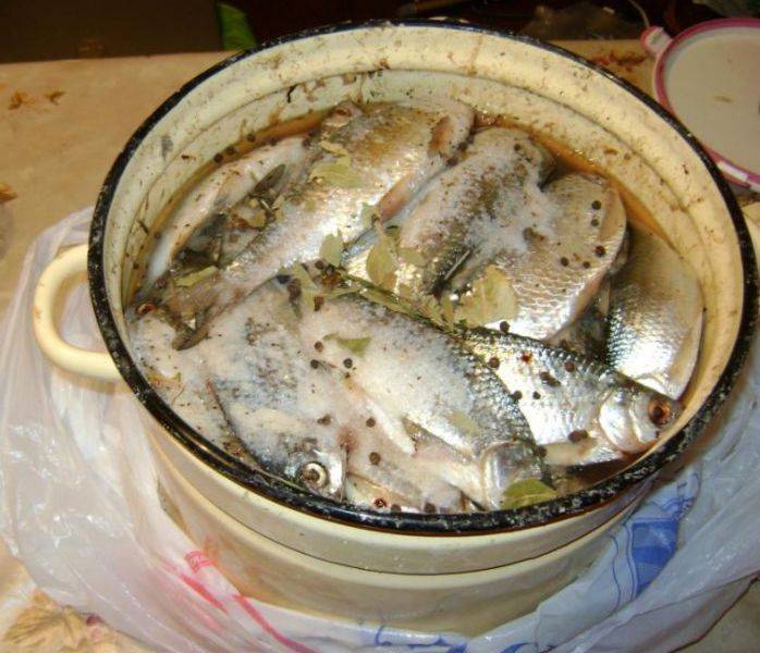 Как солить рыбу для сушки в домашних условиях: вкусные рецепты