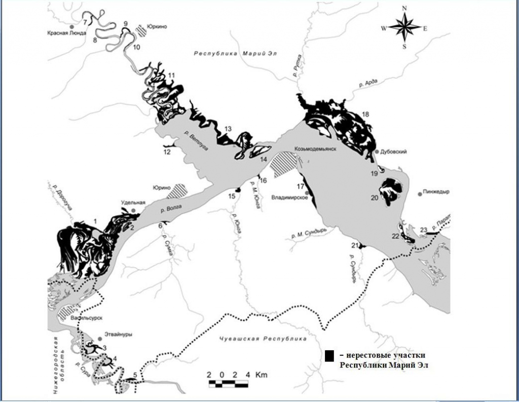 Карта нерестовых участков владимирской области