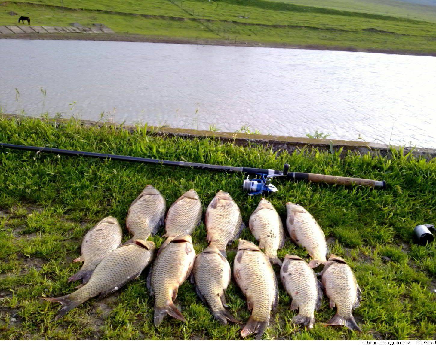 Рыбалка на реках кировской области и в кирове