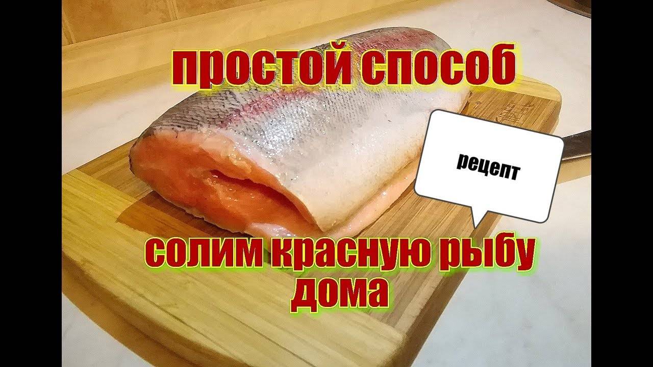 Сколько времени надо солить форель. Пропорция засолки красной рыбы форель. Рецепт засолки форели в домашних. Засолка форели пропорции. Как засолить форель в домашних условиях рецепт с фото пошагово.