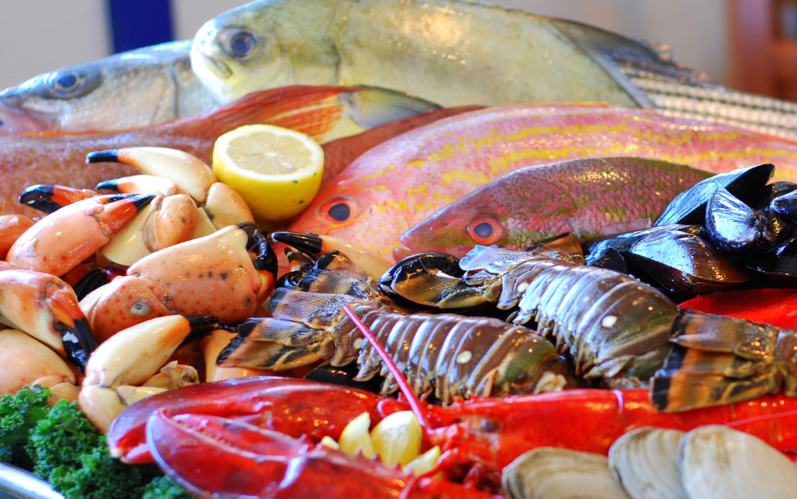 Список жирных сортов морской и речной рыбы