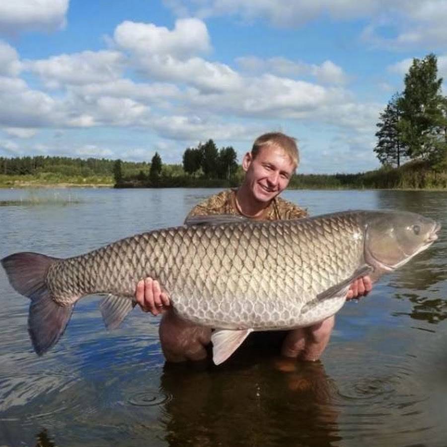 Рыбалка в озерках тверской области: лучшие водоемы