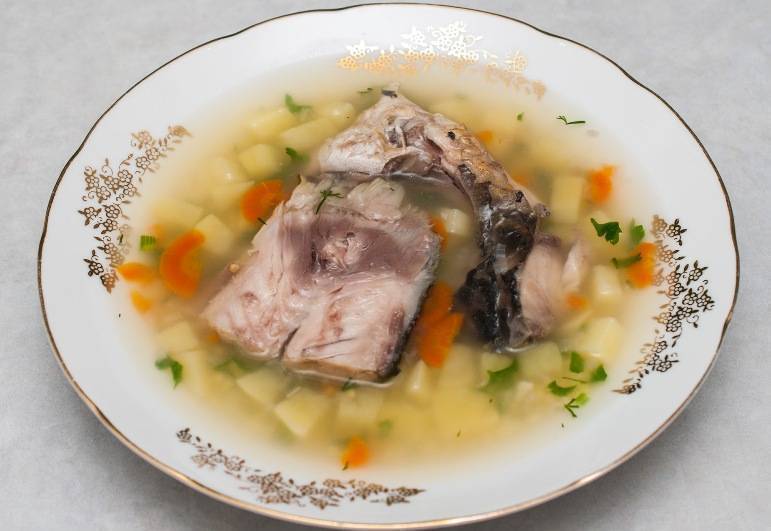 Уха из головы судака: рецепт приготовления вкусного супа