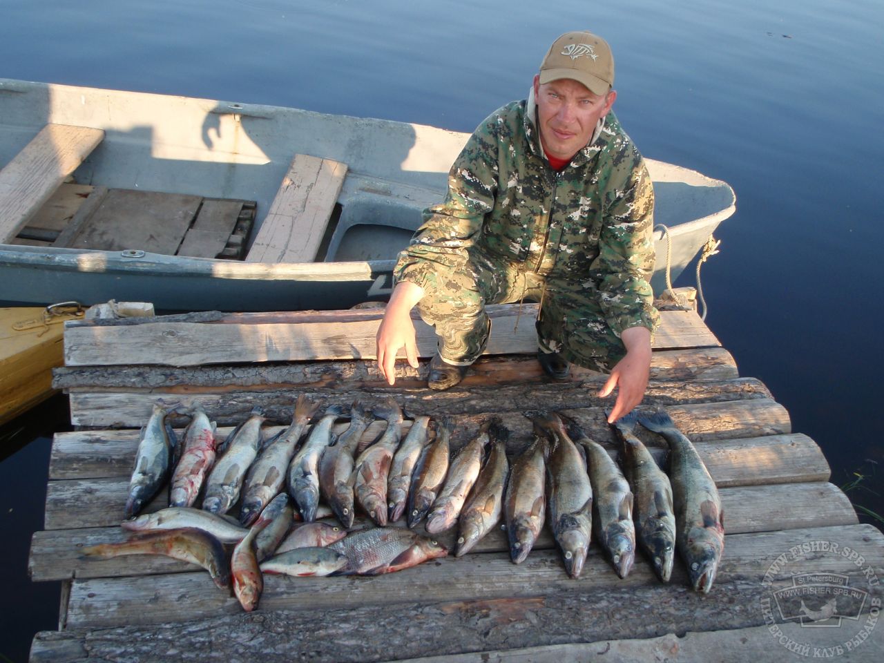 ладожское озеро какая рыба водится