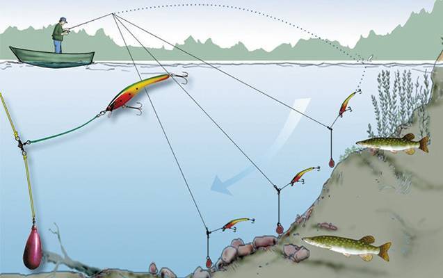 Как ловить судака на живца: способы и нюансы рыбалки