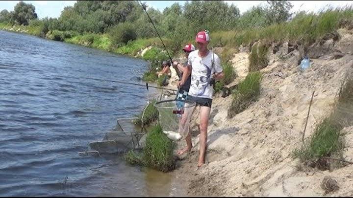 Рыболовные базы и рыбалка на реке припять в беларуси