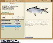 Семейство лососевые: список видов рыбы