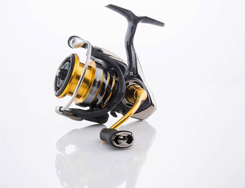 Daiwa legalis lt. Катушка Daiwa Exceler 2500d lt. Дайва Fuego lt2500. Daiwa Exceler 17 2500. Daiwa 14 Exceler 2500.