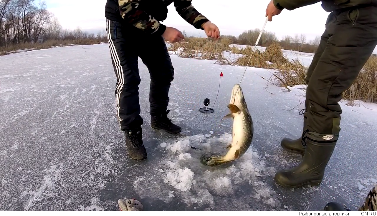Рыбалка в декабре – где, как и какую рыбу ловить в начале зимы