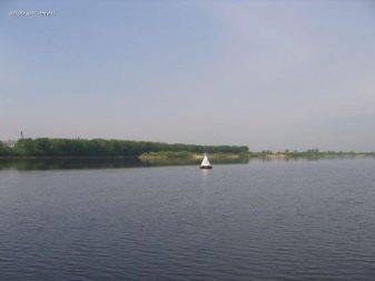 прудовая рыба в нижнем новгороде. Смотреть фото прудовая рыба в нижнем новгороде. Смотреть картинку прудовая рыба в нижнем новгороде. Картинка про прудовая рыба в нижнем новгороде. Фото прудовая рыба в нижнем новгороде