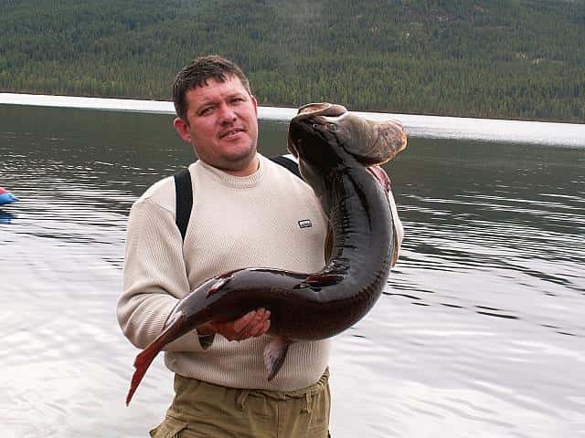 Рыболовный тур по рекам и озерам тывы - читайте на сatcher.fish