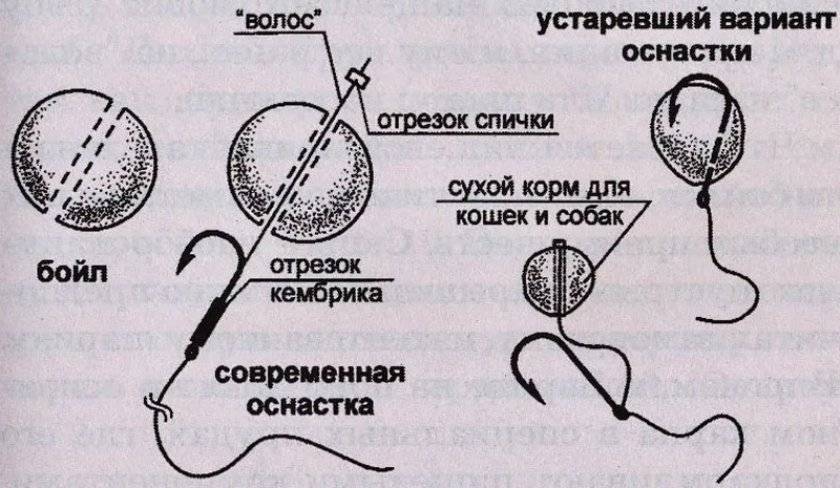 Ловля карпа на бойлы - рецепты изготовления своими руками, монтаж оснастки