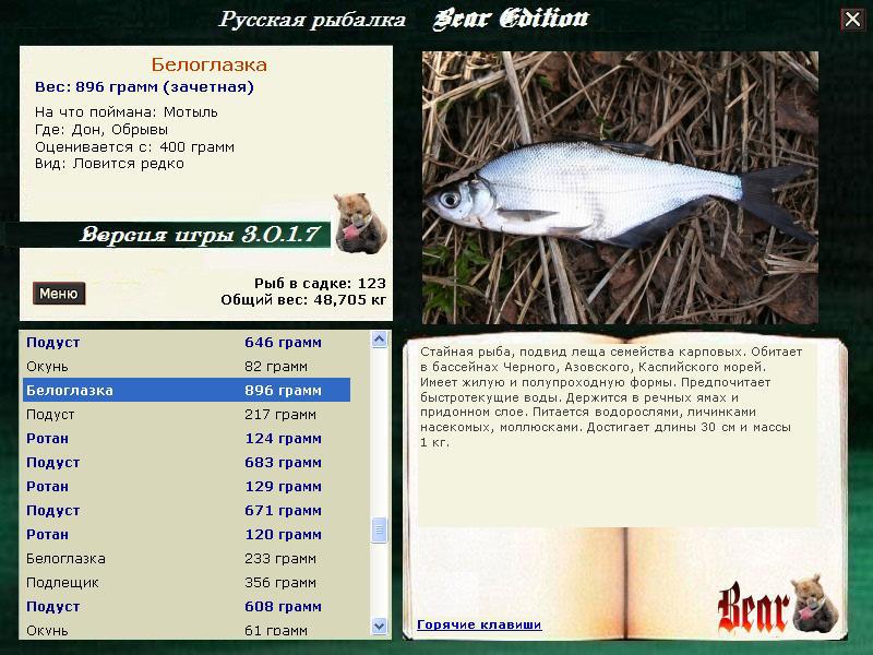 Русская рыбалка белоглазка