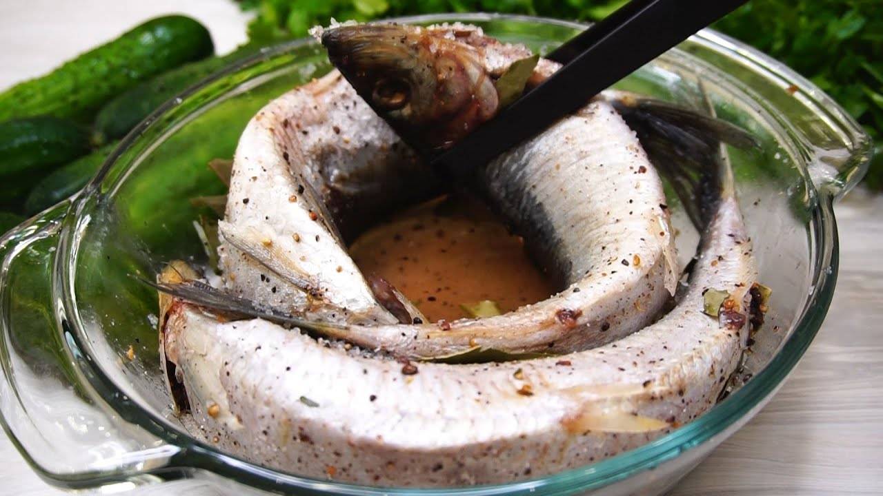 Рыба соленая (108 рецептов с фото) - рецепты с фотографиями на поварёнок.ру