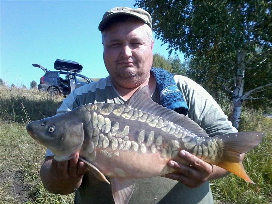 Рыбалка в республике алтай: лучшие места на карте топ-10